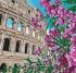 Painting by numbers - Coliseum 