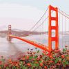 Painting by numbers - Morning San Francisco