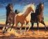 Painting by numbers - Herd 2 