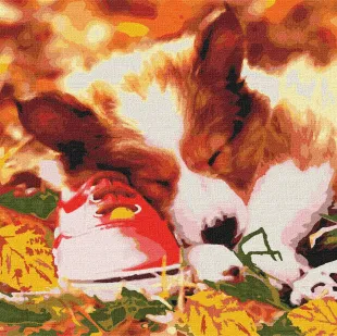 Painting by numbers - Sleeping baby 