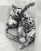 Painting by numbers - Sweet Dreams 