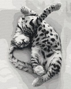 Painting by numbers - Sweet Dreams 