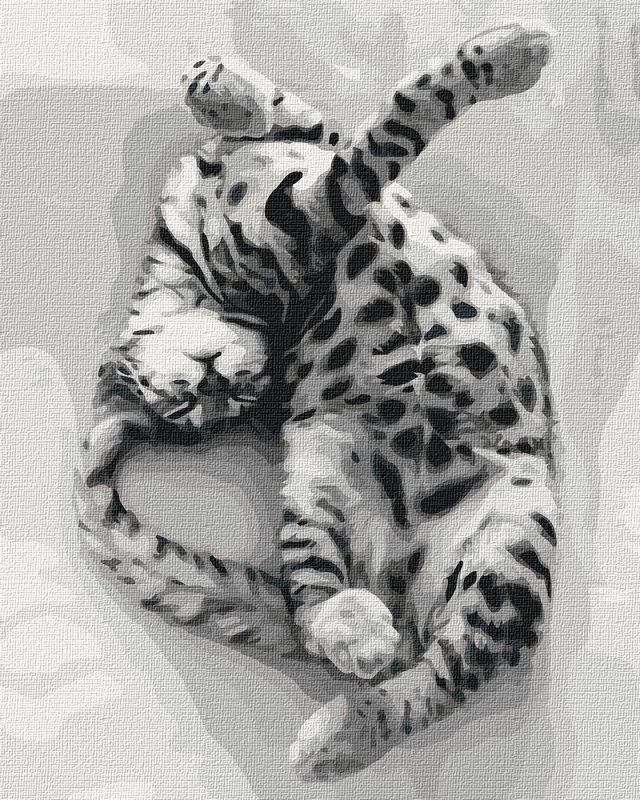 Painting by numbers - Sweet Dreams 