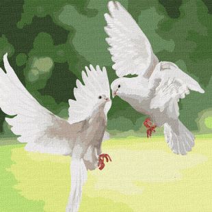 Картина за номерами - Білосніжні голуби