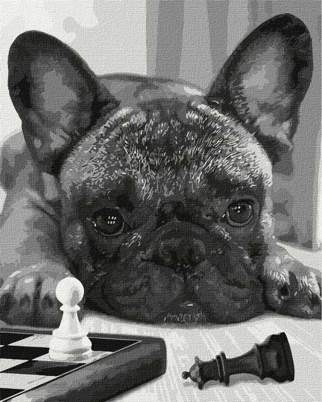 Painting by numbers - The best player 