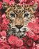 Painting by numbers - Leopard in flowers 