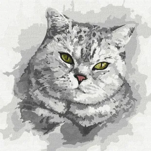 Painting by numbers - Green eyed look 