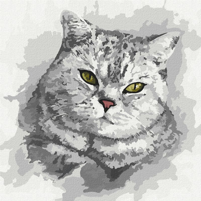 Painting by numbers - Green eyed look 