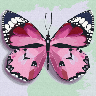 Painting by numbers - Pink butterfly 