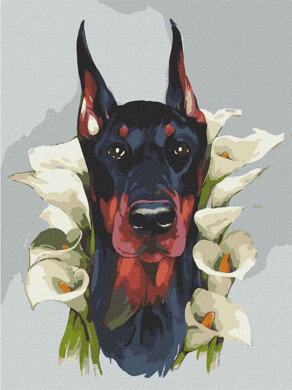 Painting by numbers - Majestic Doberman