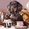 Painting by numbers - Fluffy cook