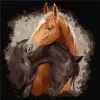Painting by numbers - Graceful beauty