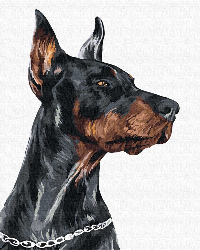 Painting by numbers - Brave Doberman