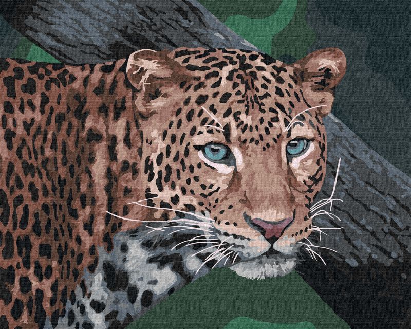 Painting by numbers - Wild look