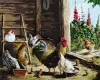 Картина за номерами - Курятник ©Олександр Закусілов