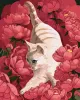 Картина по номерам - Игривая кошка ©Kira Corporal