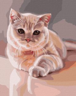 Painting by numbers - Favorite furry ©Julia Tomesko
