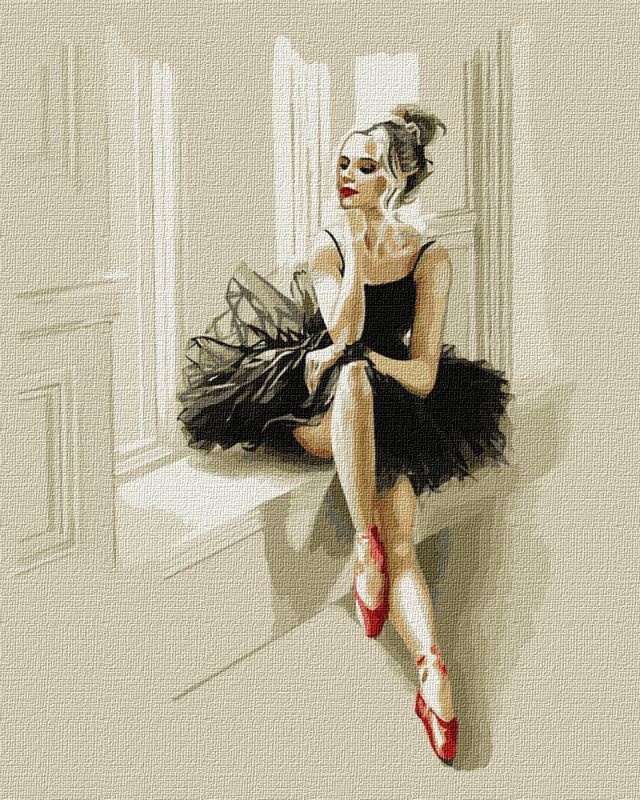 Painting by numbers - Ballerina elegance 