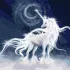 Painting by numbers - White unicorn