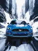 Painting by numbers - A blue mustang ©art_selena_ua