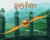 Painting by numbers - Harry Potter: Golden Snitch with extra metallic paints ©Warner Bros.