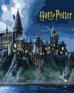 Картина по номерам - Harry Potter: Хогвартс ночью с красками металлик extra ©Warner Bros.