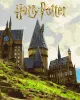 Картина за номерами - Harry Potter: Пейзаж Гоґвортсу з фарбами металік ©Warner Bros.