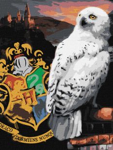 Картина за номерами - Harry Potter: Гедвіґа та Гоґвортс ©Warner Bros.