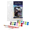 Картина за номерами - Harry Potter: Атмосфера магії ©Warner Bros.