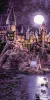 Painting by numbers - Harry Potter: Arriving at Hogwarts with extra metallic paints ©Warner Bros.