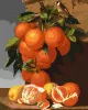 Painting by numbers - Oranges and lemons ©Antonio Mensaque