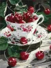 Painting by numbers - Cherry delight ©art_selena_ua