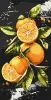 Painting by numbers - Juicy oranges ©art_selena_ua