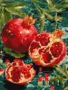Painting by numbers - Revealed Flavor ©art_selena_ua