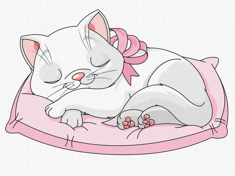 Painting by numbers - Beautiful kitty