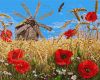 Painting by numbers - New harvest ©Аlessandro Remi