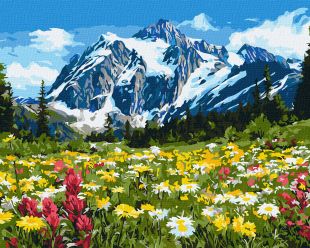 Картина за номерами - Квіткове поле серед гір ©art_selena_ua