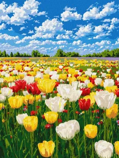 Картина за номерами - Барвисте цвітіння ©art_selena_ua