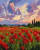 Картина по номерам - Маки перед закатом ©art_selena_ua