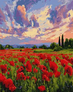 Painting by numbers - Poppies before sunset ©art_selena_ua