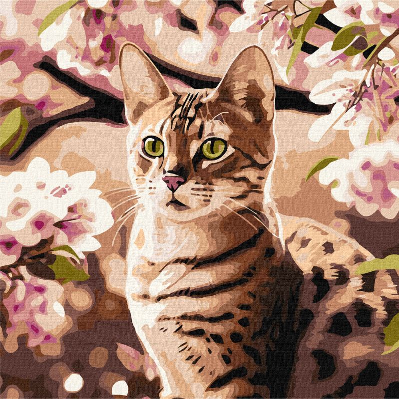 Картина за номерами - Кошеня в саду ©art_selena_ua