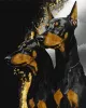 Painting by numbers - Faithful Dobermans with extra metallic paints ©art_selena_ua