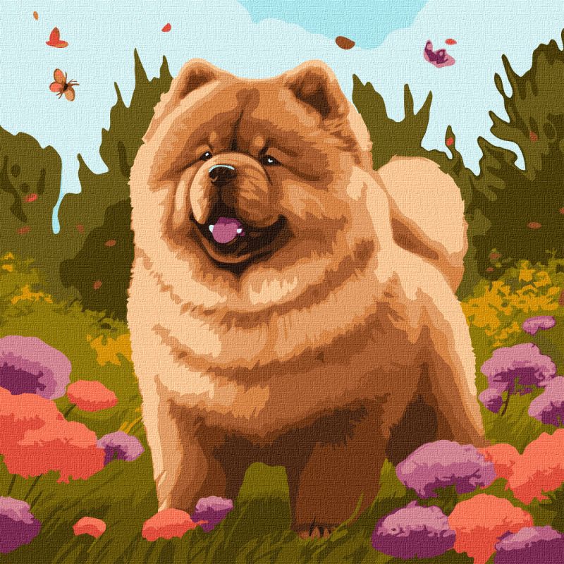 Painting by numbers - Charming chow chow ©art_selena_ua