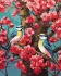 Painting by numbers - The aroma of blooming ©art_selena_ua