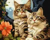 Painting by numbers - Adorable cats ©art_selena_ua