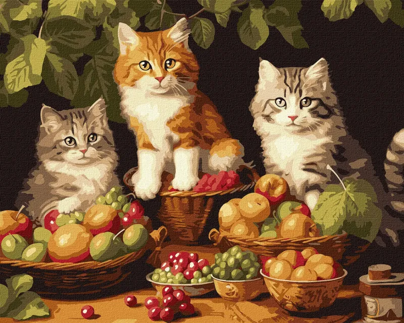Картина за номерами - Котики і фрукти ©art_selena_ua