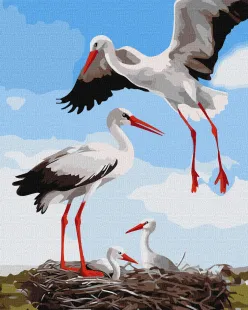 Картина за номерами - Сім'я лелек ©art_selena_ua