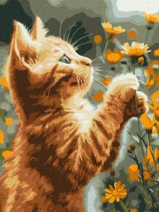 Painting by numbers - Red fluffy ©art_selena_ua