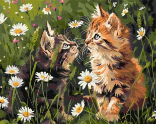 Картина за номерами - Котики у квітах ©art_selena_ua