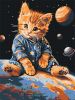 Картина за номерами - Зоряний котик ©art_selena_ua